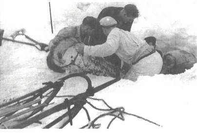 Knut Tungland 15